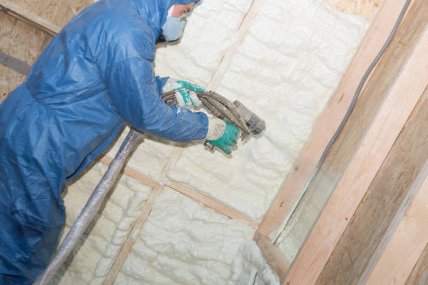 Best Radiant Barrier Insulation  in Amherst, VA